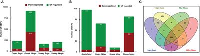 Proteome Modulation in Peripheral Blood Mononuclear Cells of Peste des Petits Ruminants Vaccinated Goats and Sheep